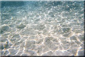 Underwater lagoon picture